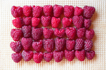 Red rose berry raspberries on wafers background. Sweets for vegetarians. Eco-friendly dessert. Stock photos