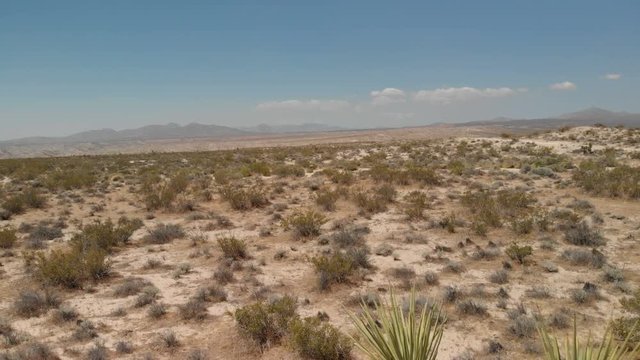 Aerial Shot of Mojave Desert California Joshua Trees and Bushes USA