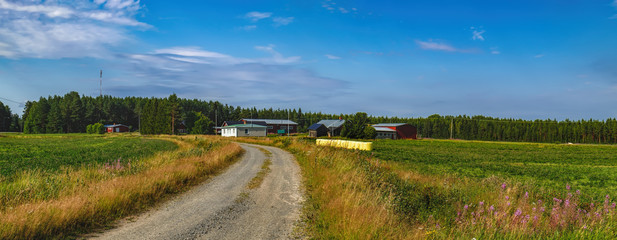 Panorama of typical Finnish countryside in summer in province of Oulu, Northern Ostrobothnia region, Finland. Agricultural fields and dirt road to red wooden house in village on horizon