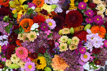 Blumen, Hintergrund, formatfüllend - 221629145