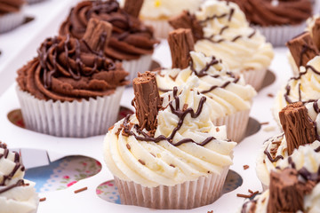 Chocolate and Vanilla cupcakes