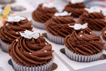 Chocolate cupcakes