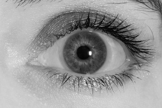 eye with toric contact lens, black and white