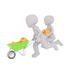 pumpkins transportation in a wheelbarrow
