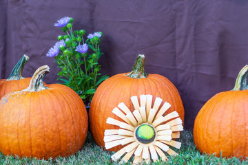 Pumpkins and flowers to celebrate fall.