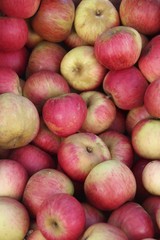 Pomme rouge