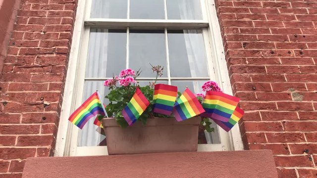 Gay Pride Rainbow Flags In Flower Box In Window