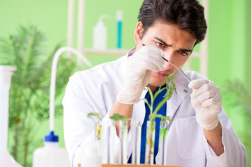 Young biotechnology scientist chemist working in lab