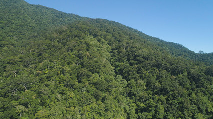 Obraz premium Aerial view of mountains with green forest, trees, jungle with blue sky. Slopes of mountains with tropical rainforest. Philippines, Luzon. Tropical landscape in Asia.