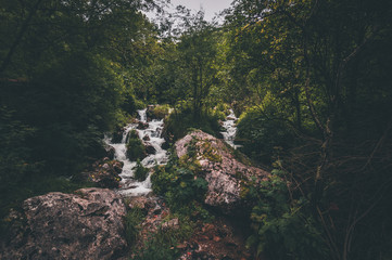 beautiful deep forest waterfall in Asturias