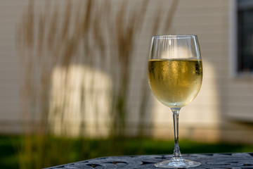 Summer day with a class of white wine 