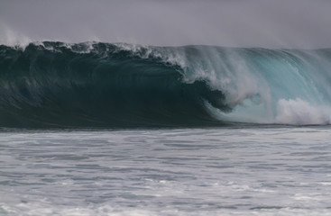 A Giant wave breaking in Hawaii