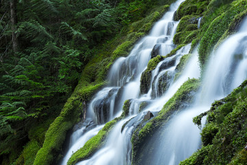Obraz premium Upper Proxy Falls