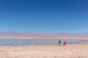 Fototapeta premium Atacama, Chile - Oct 9th 2017 - Wide angle shot of parent and a child walking on the edge of the salt flat of Atacama in a pale light, afternoon, volcano in the background, Chile.