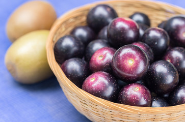 Swamp Grapes