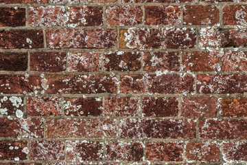 brick wall background