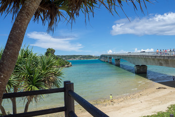 tropical beach in okinawa