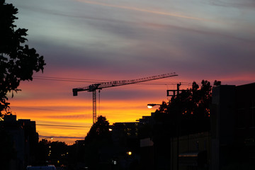 Construction cranes in the city
