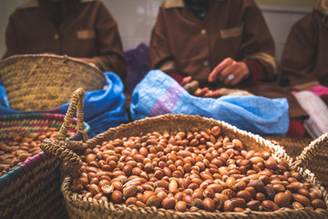 Moroccan women working with organic argan seeds to extract argan oil. Essaouira, Morocco.