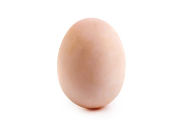 Egg Isolated on White Background