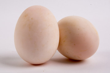 Egg Isolated on White Background