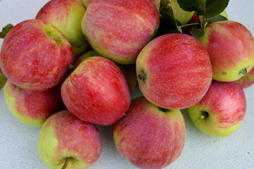 bright red apples ripen on a tree branch in summer and autumn in the garden for a vitamin healthy diet