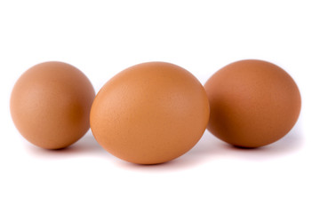 eggs on white background