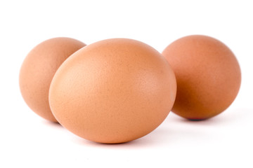 eggs on white background