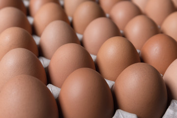 Fresh organic eggs