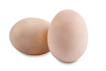 Egg Isolated on White Background