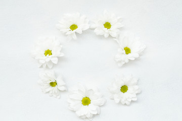 Obraz premium daisy wreath on white background. herbera flowers in a circle. minimalist floral decor. empty space concept