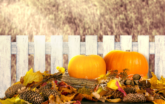 Autumn festive background with pumpkins on straw and leaves outdoor for Thanksgiving