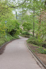 Path in park