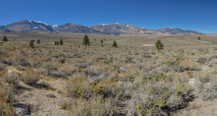 Sierra Nevada mountains and foothills near Mono Lake area Lee Vining, Mono county, California