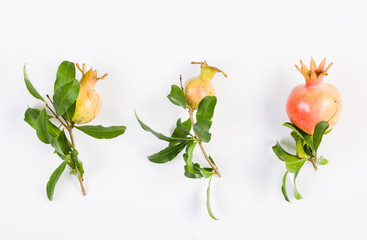 Pomegranate fruit on a white background