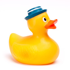 Yellow rubber duck isolated on white background.
