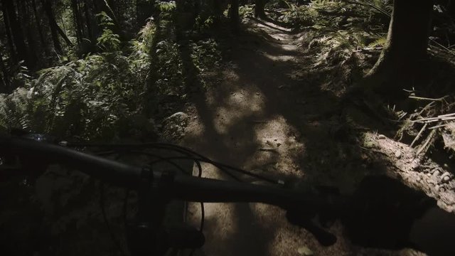 Flat Film Look Mountain Biking Slow Motion