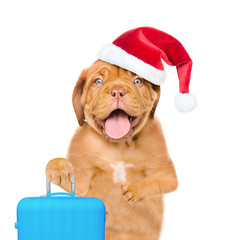 Funny puppy in red christmas hat holds  suitcase. isolated on white background