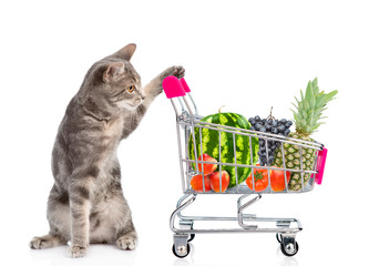 Cat with a shopping cart full of fruits and vegetables. isolated on white background