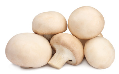 Mushrooms isolated on white background