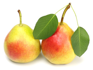 Pears isolated on white background