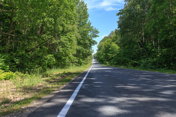 The highway through a beautiful forest goes beyond the horizon against the blue sky. White stripe the curb.