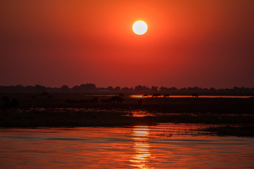 Sunset over Chobe River, Botswana