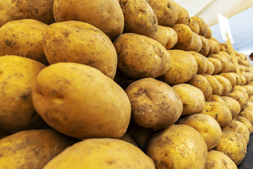 Potatoes closeup view 