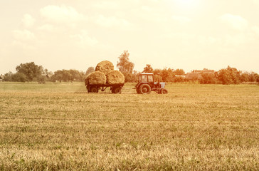 Obraz premium Agriculture and tractor collects straw bales on the farm plant