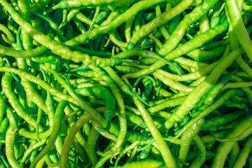 Green fresh pepper closeup view
