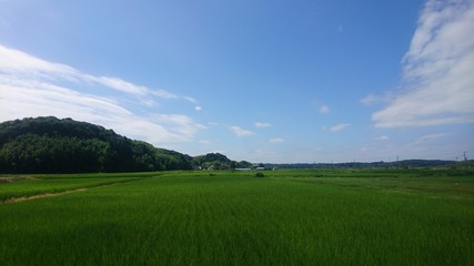 日本　田舎　青空　田園2