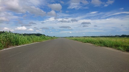 日本　道　青空