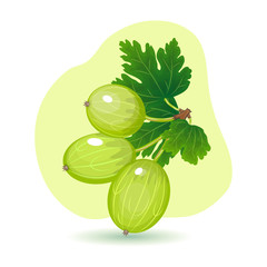 Vector illustration of green juicy gooseberry with leaves