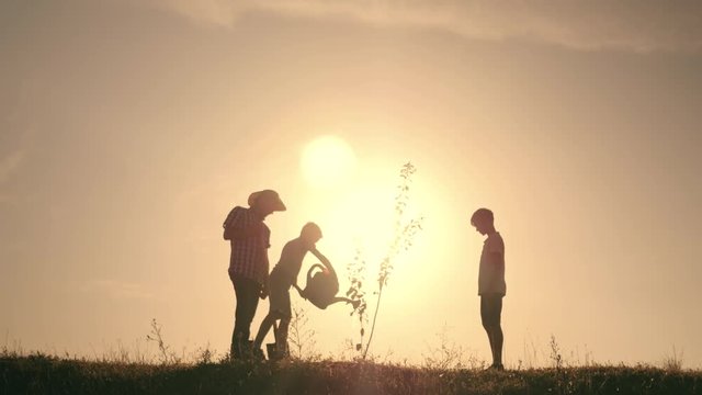 A happy family. Father and two sons plant and water the tree in the park at sunset. The concept of a happy family